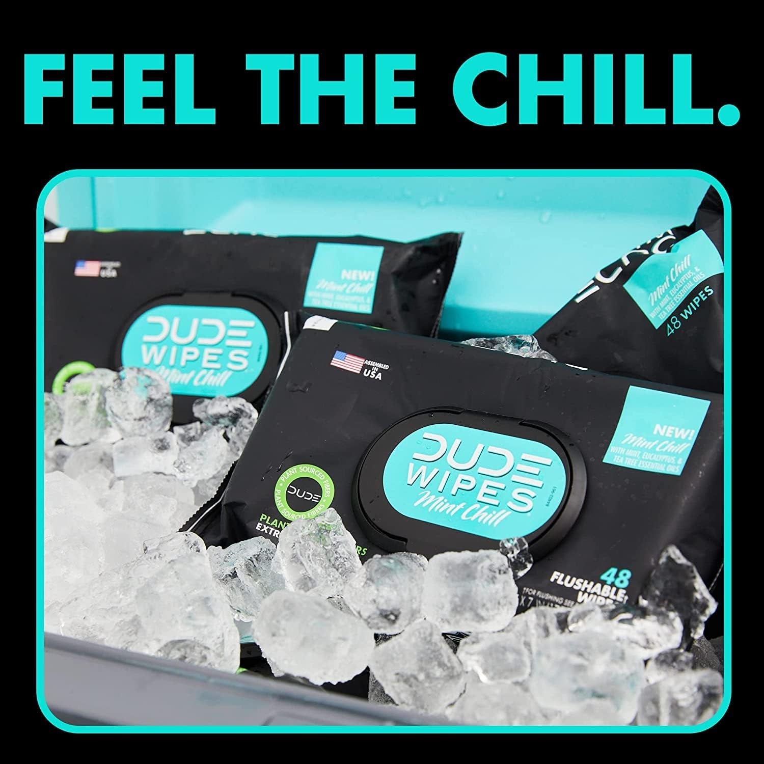 Wipes - Flushable Wipes - 2 Pack, 96 Wipes - Unscented (48Ct) & Mint Chill (48Ct) Extra-Large Adult Wet Wipes