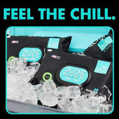 Wipes - Flushable Wipes - 2 Pack, 96 Wipes - Unscented (48Ct) & Mint Chill (48Ct) Extra-Large Adult Wet Wipes