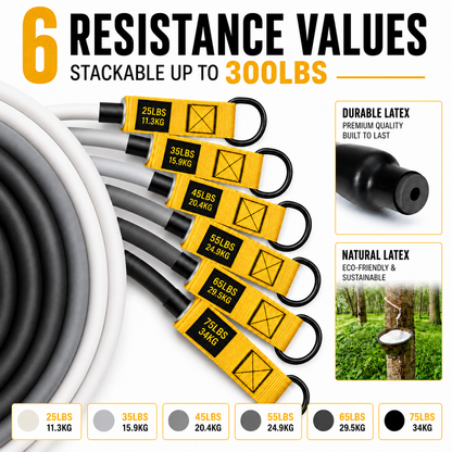 Trucker Resistance Band Set - 300/360 Lbs - Portable Home Gym for Life on the Road
