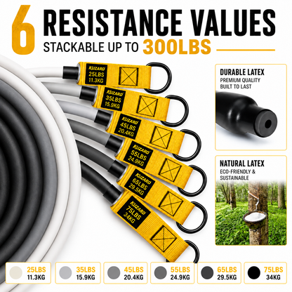 Resistance Band System, 300/360 Lbs with Handles – Portable Workout for Truckers